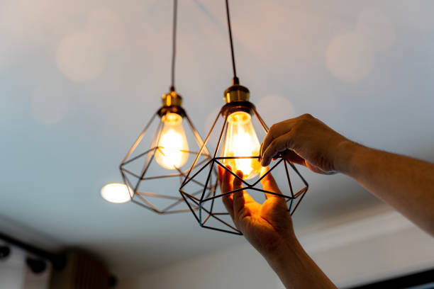 Best Home Electrical Repair  in Durand, WI